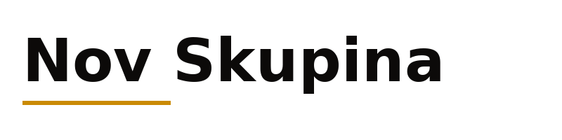 Nov Skupina logo